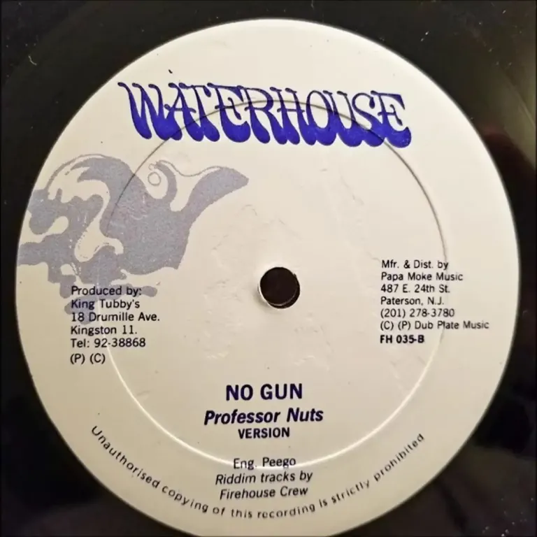 No Gun Riddim - Waterhouse, Taurus