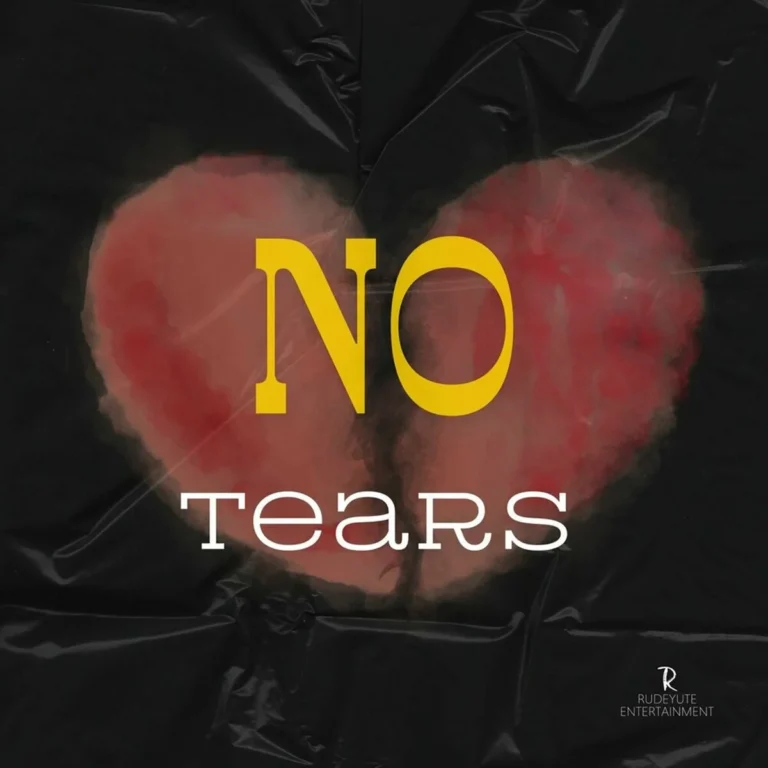 Nvt3l – No Tears Nvt3l - No Tears