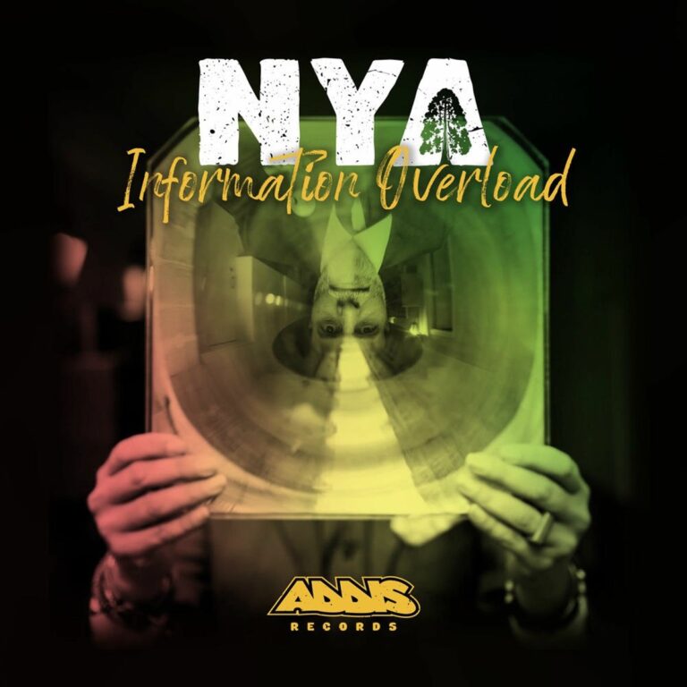 Nya - Information Overload