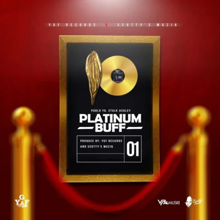 Pablo YG Ft. Stalk Ashley – Platinum Buff Pablo Yg Ft. Stalk Ashley - Platinum Buff