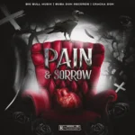 Pain & Sorrow Riddim – Big Bull Musik