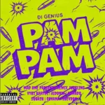 Pam Pam Riddim – Di Genius