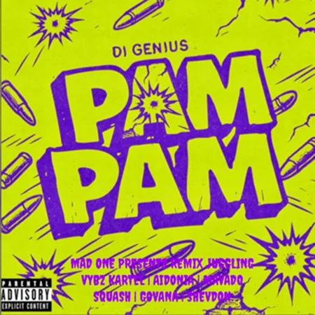 Pam Pam Riddim - Di Genius