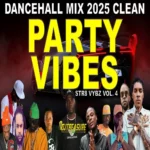 Party Vibes Str8 Vybz Vol. 4 Dancehall Mix – Dj Treasure