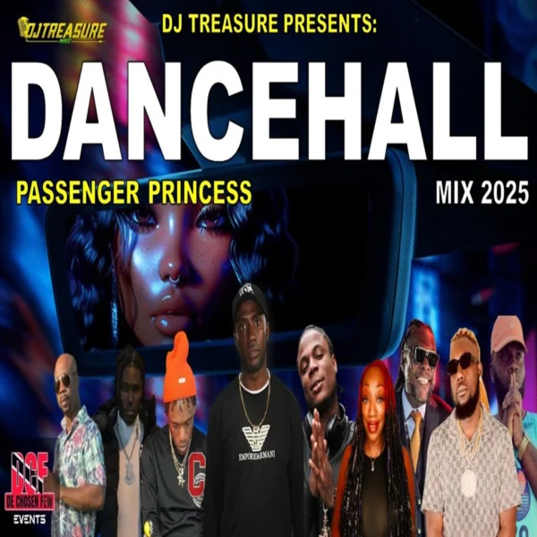 Passenger Princess Dancehall Mix - Dj Treasure