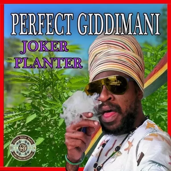 perfect giddimani - joker planter