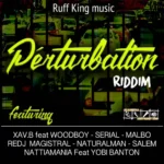 Perturbation Riddim – Ruff King Music