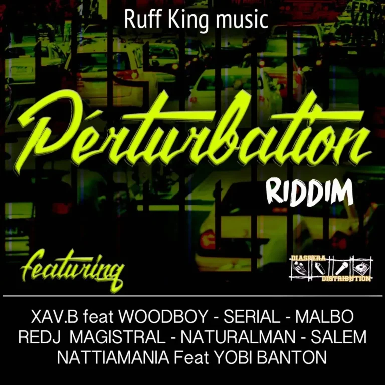 Perturbation Riddim - Ruff King Music