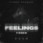 Pesh – Feelings Faded