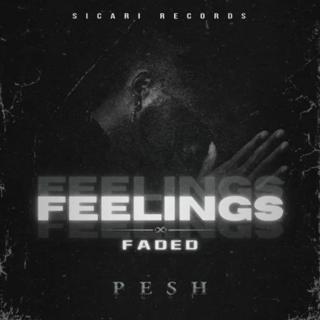 Pesh - Feelings Faded