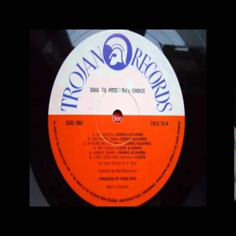 Picture On The Wall Riddim - Various Labels