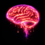 PinkFox – Brain