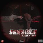 Planky Don – Sensible
