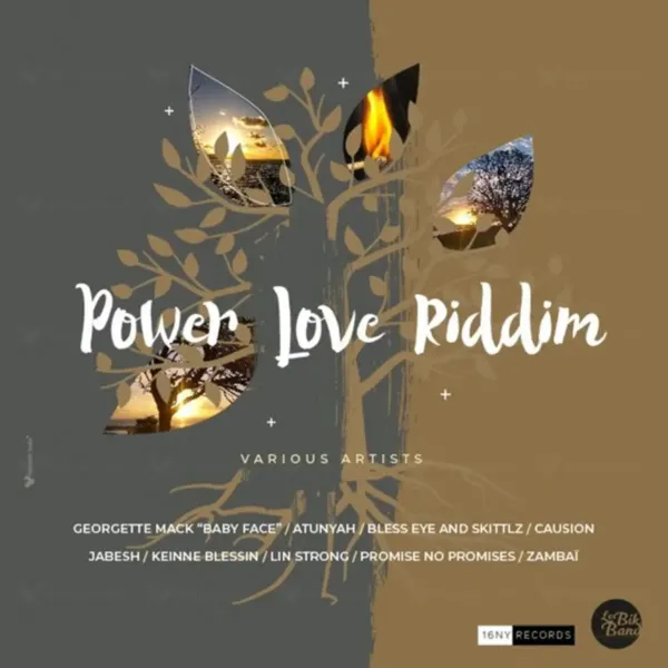 Power Love Riddim - 16ny Records