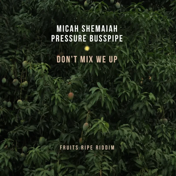 Pressure Busspipe X Micah Shemaia - Don't Mix We Up
