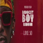 Problem Child – Like So