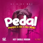 Prodii – Pedal