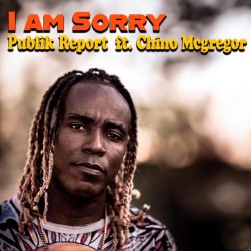 publik report - i am sorry