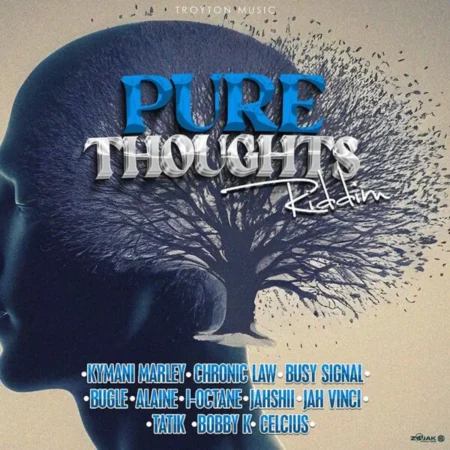 Pure Thoughts Riddim - Troyton Music