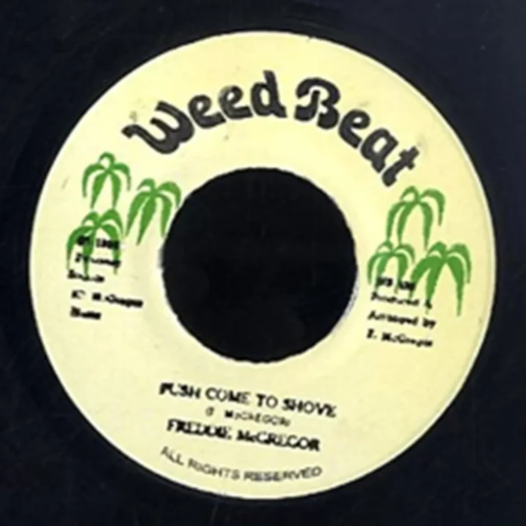 Push Comes To Shove Riddim - Weed Beat, Pure Music