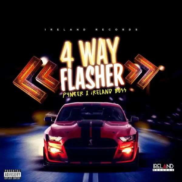 Pyneer X Ireland Boss - 4 Way Flasher