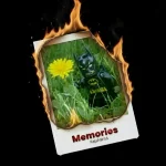 Rajahwild – Memories