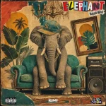 Rajahwild – Elephant