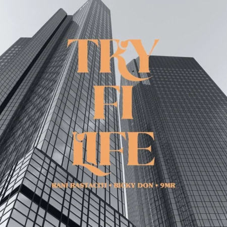 Rani Rastaciti Ft. Ricky Don - Try Fi Life