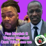 Ras Murdak Ft. Wayne Marshall – Cant Tek Fi See We