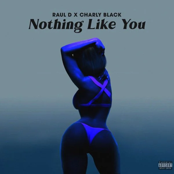 raul d - charly black - nothing like you