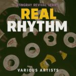 Real Riddim (2025) – Stingray Records