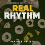 Real Riddim (2025) – Stingray Records