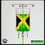 Recovery Riddim – Head Concussion Records