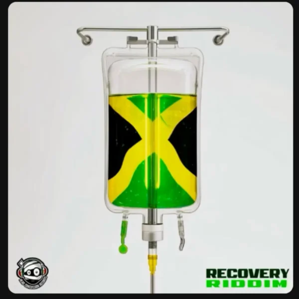 Recovery Riddim - Head Concussion Records