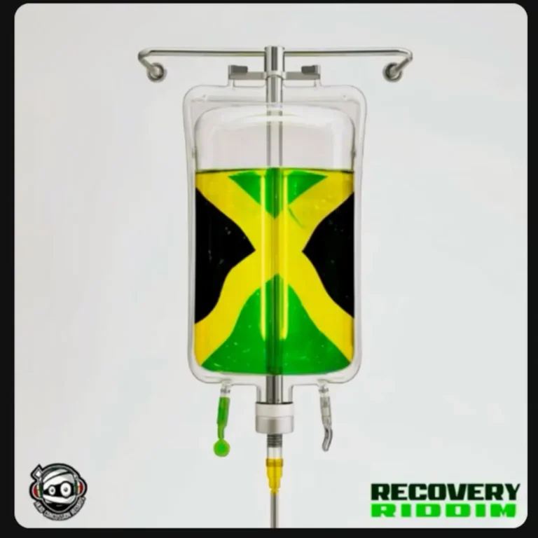 Recovery Riddim - Head Concussion Records
