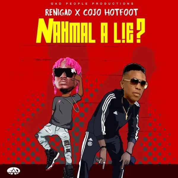 renigad feat. cojo hotfoot - nahmal a lie