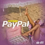 ReniGad – Paypal