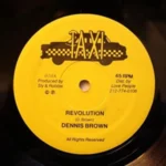 Revolution Riddim – Various Labels