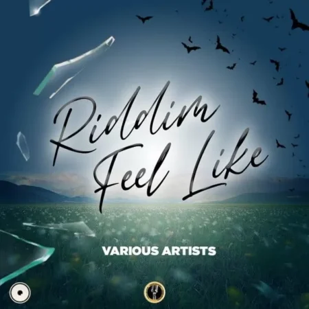 Riddim Feel Like - Skelly Dan Records / Rahim Records