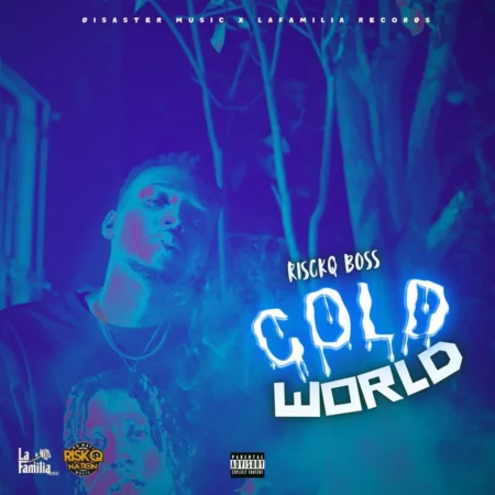 Riskq Boss - Cold World