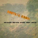 Rootikal Riddim – DubShot Records