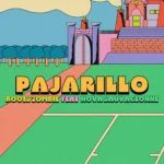Roots Zombie Ft. Nova Sauvageonne – Pajarillo