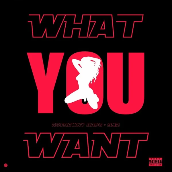 Roshawny Badg - What You Want