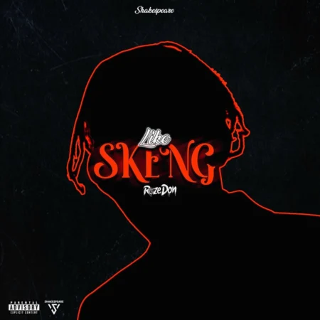 Roze Don - Like Skeng