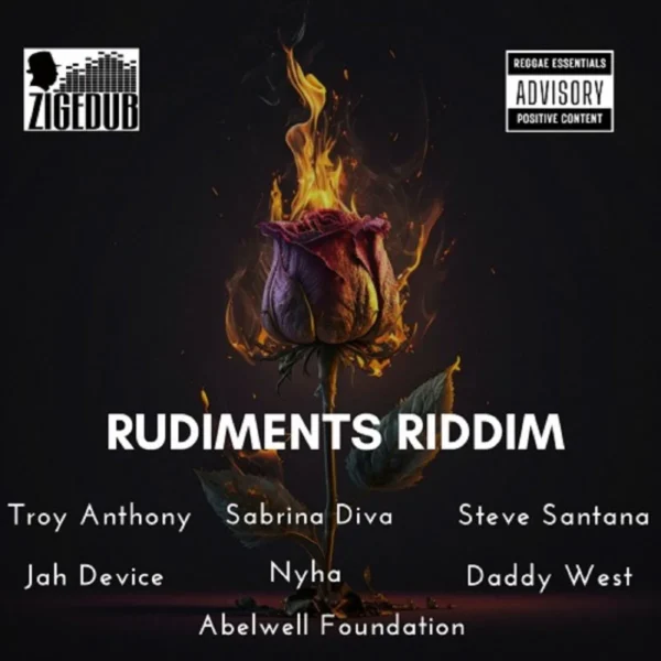 Rudiments Riddim - Zigedub Productions