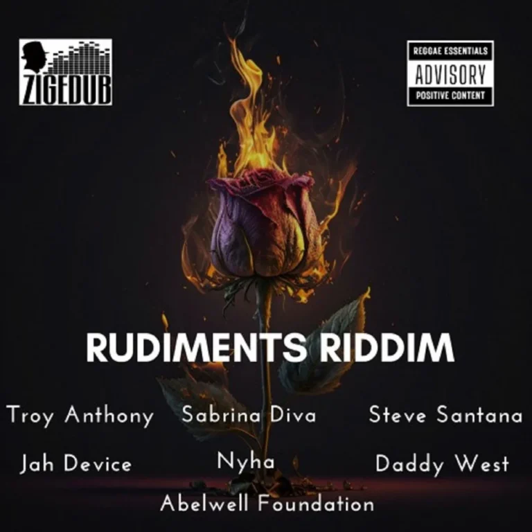 Rudiments Riddim - Zigedub Productions