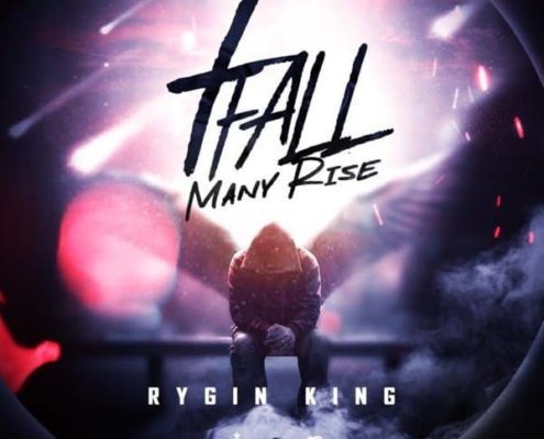 rygin king 7 fall many rise
