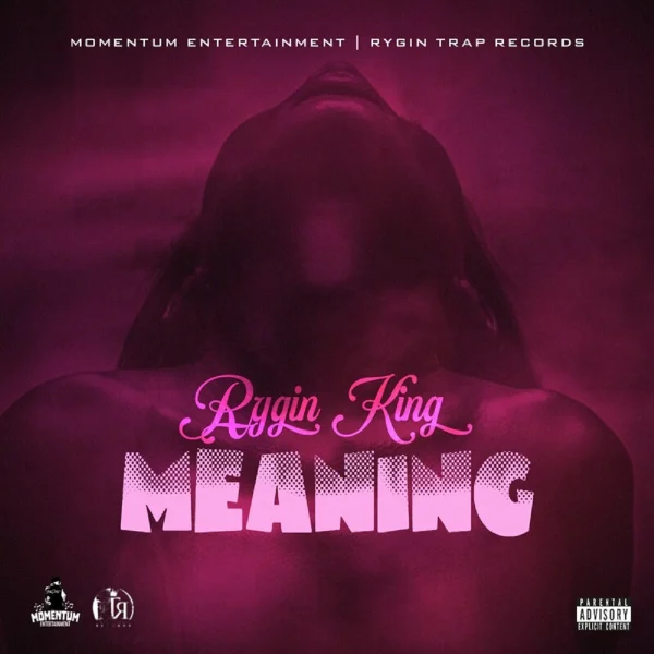 Rygin King - Meaning