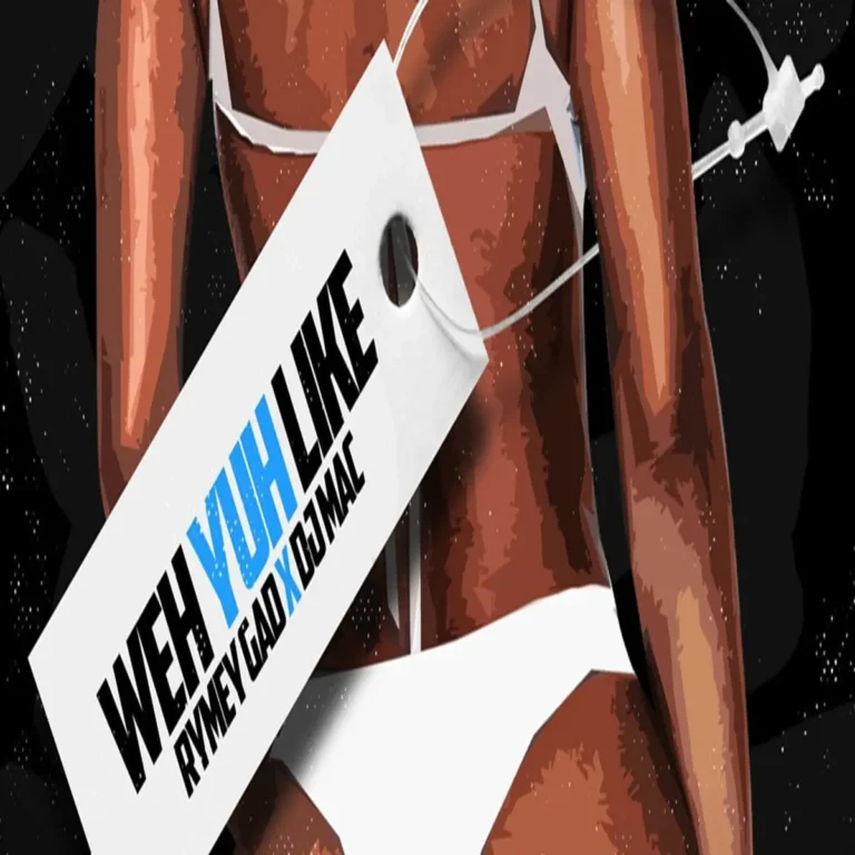 Rymey Gad - Weh Yuh Like (Wyfl Riddim)
