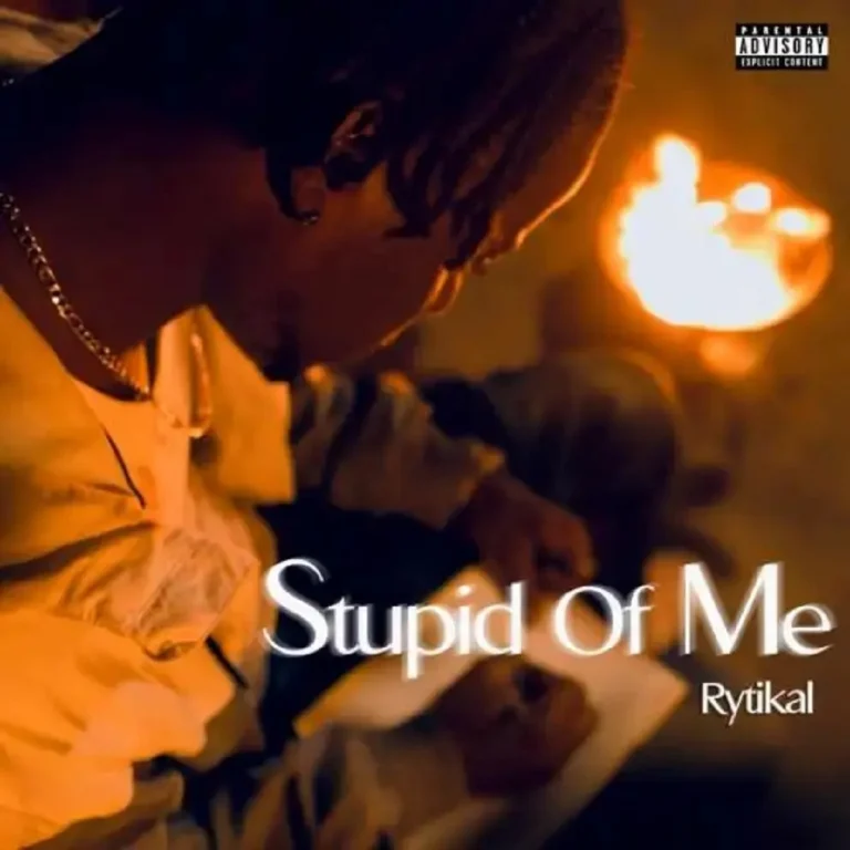 Rytikal - Stupid Of Me